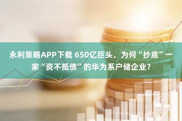 永利策略APP下载 650亿巨头，为何“抄底”一家“资不抵债”的华为系户储企业？