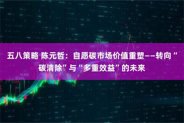 五八策略 陈元哲：自愿碳市场价值重塑——转向“碳清除”与“多重效益”的未来