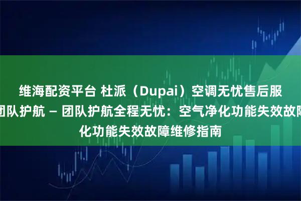 维海配资平台 杜派（Dupai）空调无忧售后服务，专业团队护航 — 团队护航全程无忧：空气净化功能失效故障维修指南